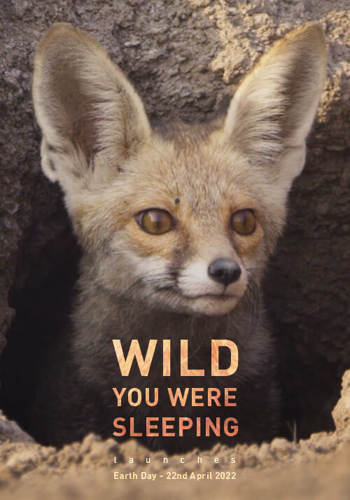 wildlife protection organizations india