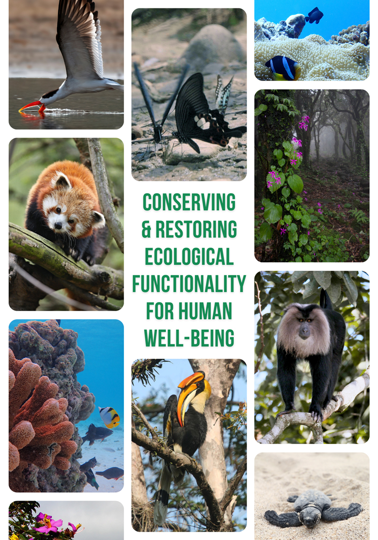 protect wildlife habitat india