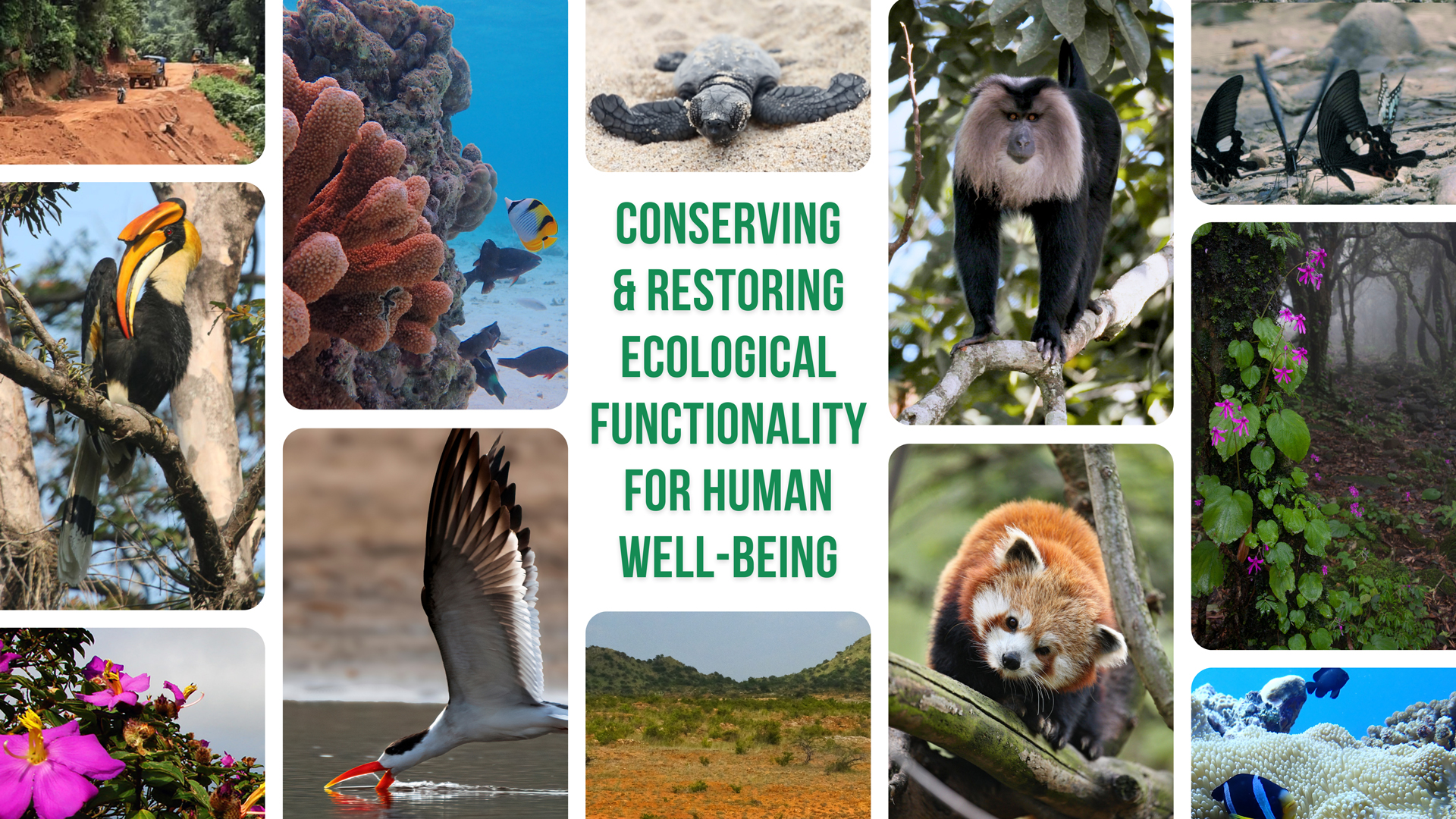 Protection of Natural Habitats India