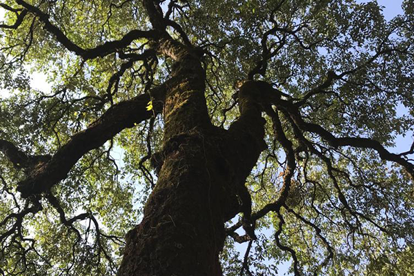 Centre for Ecology, Development and Research (CEDAR)